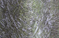 Shorncliffe Camp fibreglass roof work